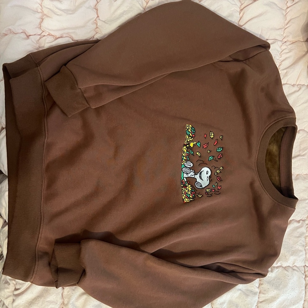 Brown Snoopy Graphic Sweater
